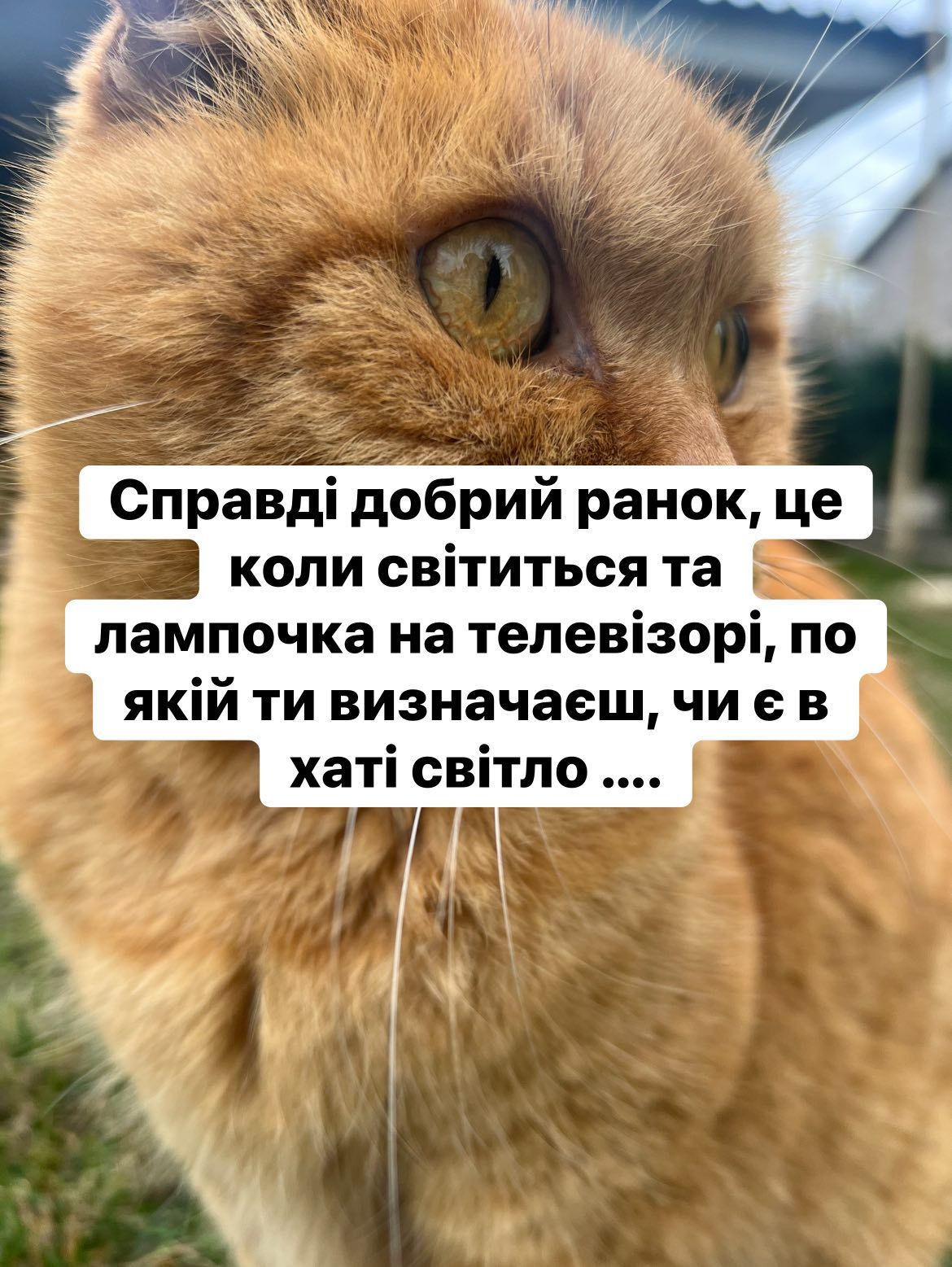 Ну вот опять: как украинцы реагируют мемами и шутками на отключение света - фото 793107