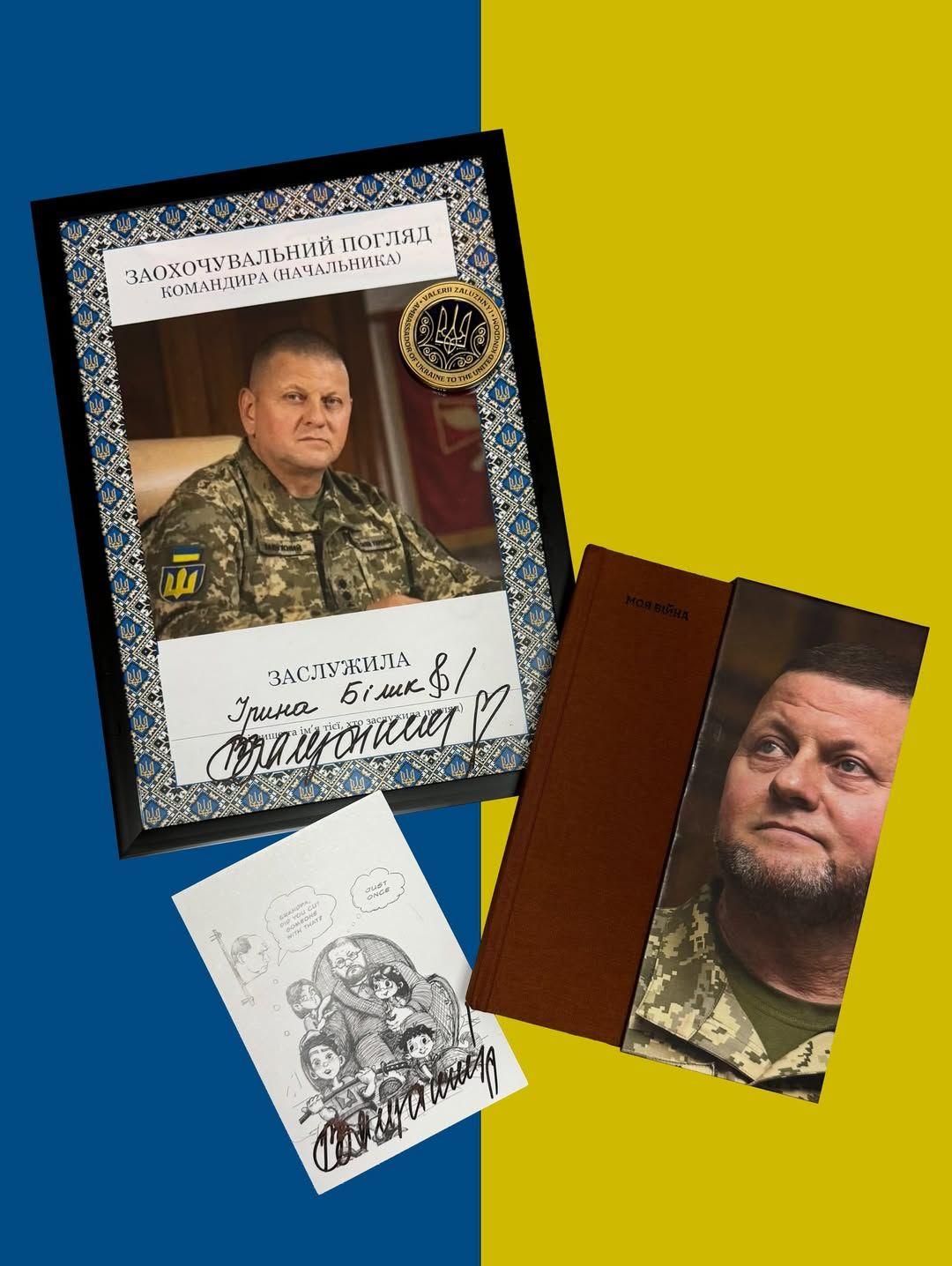 Ірина Білик отримала від Залужного подарунок - 793480 Ірина Білик отримала від Залужного подарунок - фото 793480