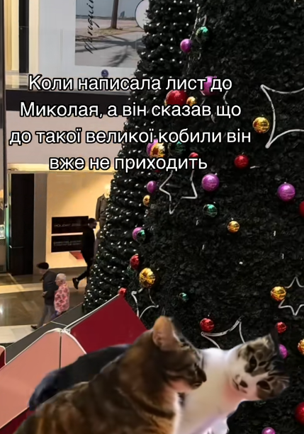 Мемы про День Святого Николая: когда ты уже не ребенок, но все равно утром заглядываешь под подушку - 794172 Мемы про День Святого Николая: когда ты уже не ребенок, но все равно утром заглядываешь под подушку - фото 794172