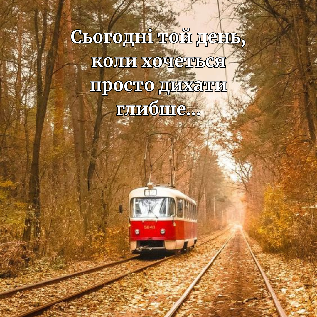 Последний день осени 2025: самые атмосферные картинки для сторис и друзей - 794188 Последний день осени 2025: самые атмосферные картинки для сторис и друзей - фото 794188