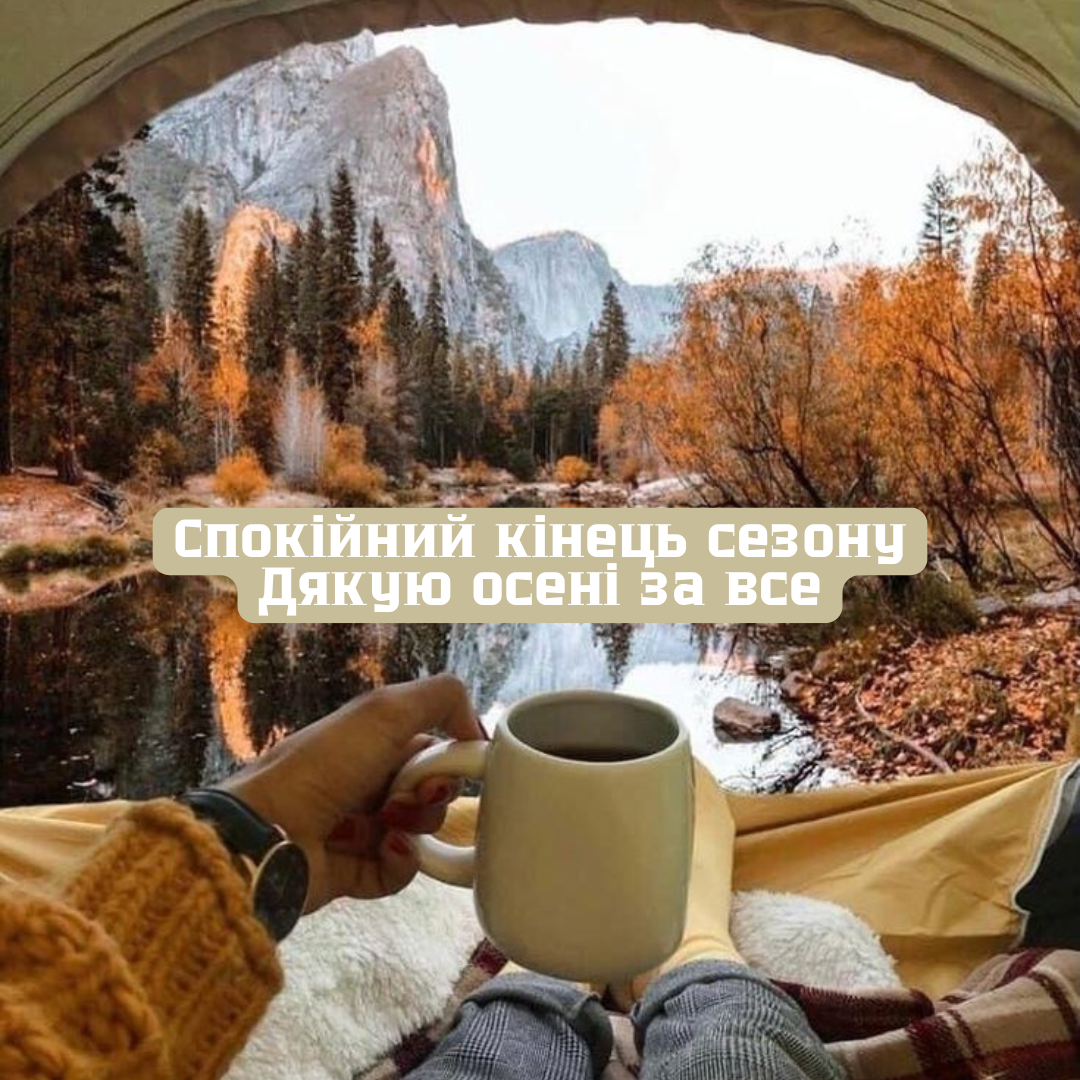 Последний день осени 2025: самые атмосферные картинки для сторис и друзей - 794190 Последний день осени 2025: самые атмосферные картинки для сторис и друзей - фото 794190