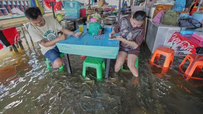 Ресторан у Таїланді став сенсацією після затоплення - тепер у відвідувачів під ногами плавають риби