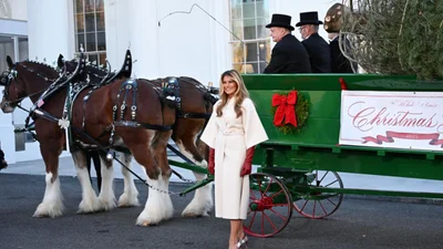 Мелания Трамп попала под сокрушительный шквал критики, ее прозвали Гринчем: что произошло