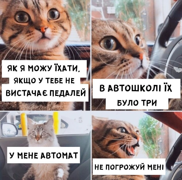 Забавные мемы о водителях, которые точно поймут все владельцы автомобилей - 795826 Забавные мемы о водителях, которые точно поймут все владельцы автомобилей - фото 795826
