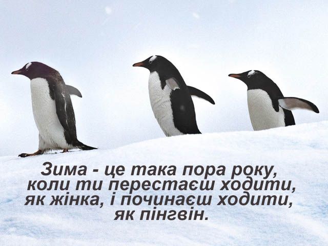 Веселые мемы о зиме, чтобы начать это время года с позитивом - 797284 Веселые мемы о зиме, чтобы начать это время года с позитивом - фото 797284