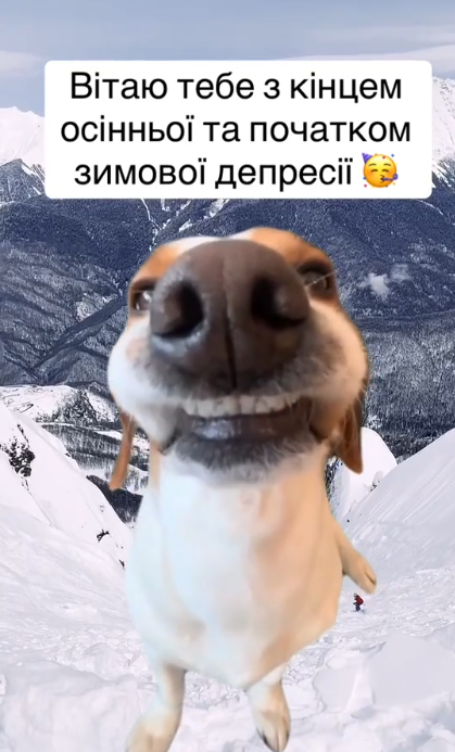 Веселые мемы о зиме, чтобы начать это время года с позитивом - 797294 Веселые мемы о зиме, чтобы начать это время года с позитивом - фото 797294