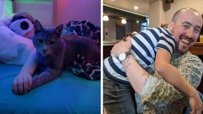 13 заплутаних оптичних ілюзій, подивившись на які ти не повіриш своїм очам