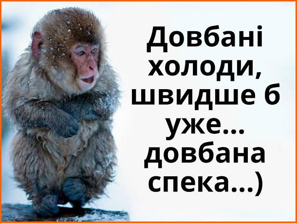 Мемы о холоде: веселые шуточки, которые согреют твои руки, ноги, нос и душу - 797928 Мемы о холоде: веселые шуточки, которые согреют твои руки, ноги, нос и душу - фото 797928