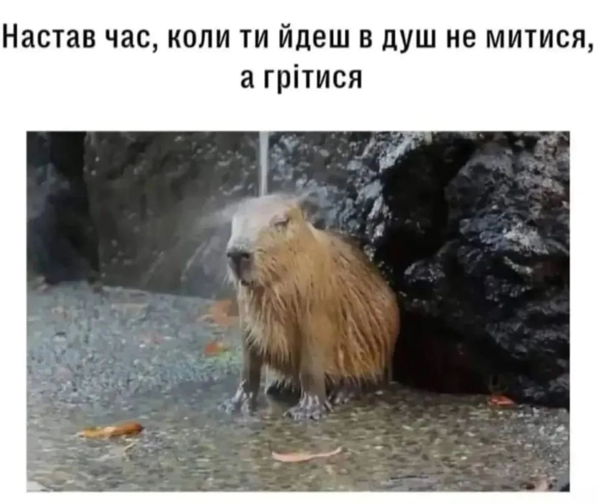 Мемы о холоде: веселые шуточки, которые согреют твои руки, ноги, нос и душу - 797936 Мемы о холоде: веселые шуточки, которые согреют твои руки, ноги, нос и душу - фото 797936