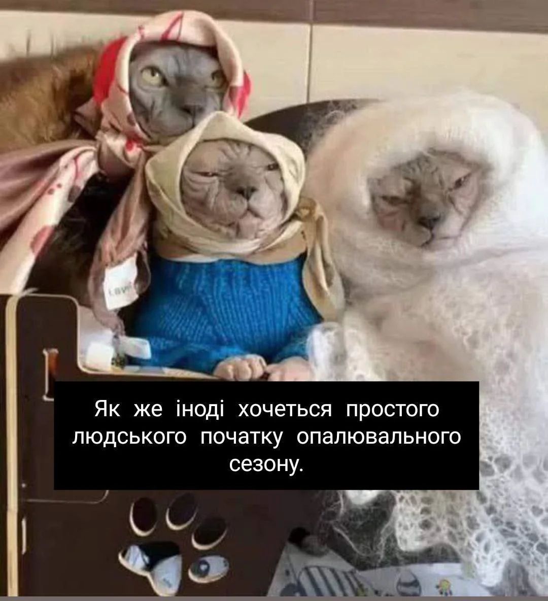 Мемы о холоде: веселые шуточки, которые согреют твои руки, ноги, нос и душу - 797937 Мемы о холоде: веселые шуточки, которые согреют твои руки, ноги, нос и душу - фото 797937