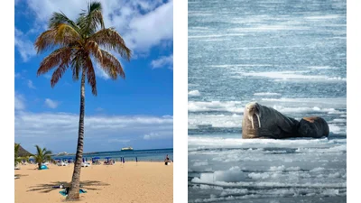 Відпустка в січні: 10 найкращих місць для подорожі після свят