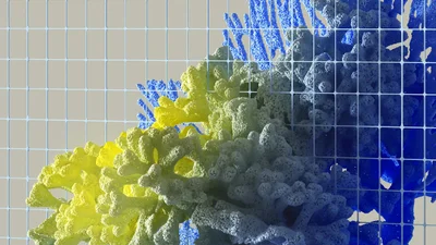 Штучний інтелект порадив японцю з'їсти отруйний гриб: старенький опинився у лікарні