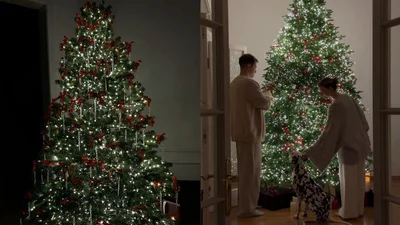 Щоб задобрити Вогняного Коня: як обрати ідеальну ялинку на Новий рік 2026