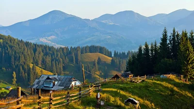 Атмосферные открытки и стихи о горах Карпаты ко Дню гор 2025