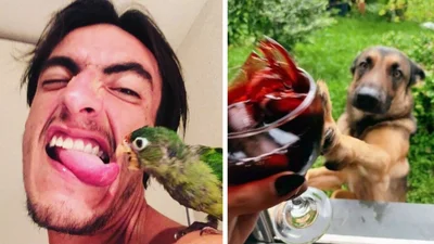 Невозможно поверить, но эти забавные фото были сняты за секунду до катастрофы