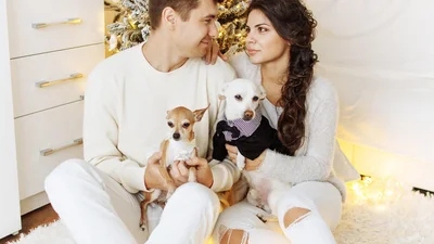 Ці знаки зодіаку отримають максимум радості у святковий сезон