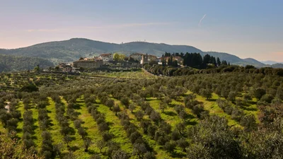 Италия зовет: тосканский городок ищет новых жителей и делает щедрые скидки на жилье