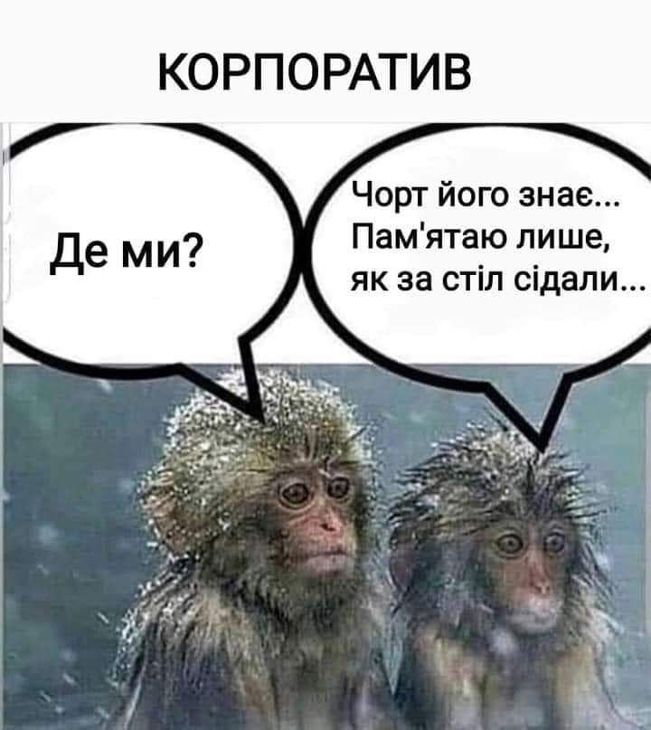 Смешные мемы о корпоративах: когда вечер удался настолько, что стыдно выходить на работу - 803938 Смешные мемы о корпоративах: когда вечер удался настолько, что стыдно выходить на работу - фото 803938