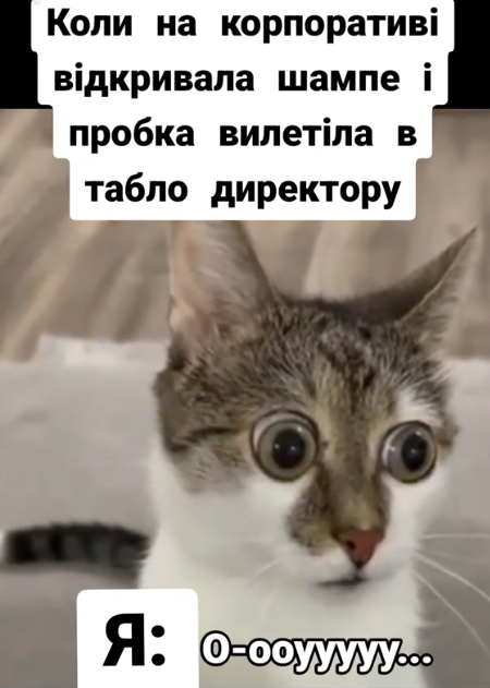 Смешные мемы о корпоративах: когда вечер удался настолько, что стыдно выходить на работу - 803940 Смешные мемы о корпоративах: когда вечер удался настолько, что стыдно выходить на работу - фото 803940