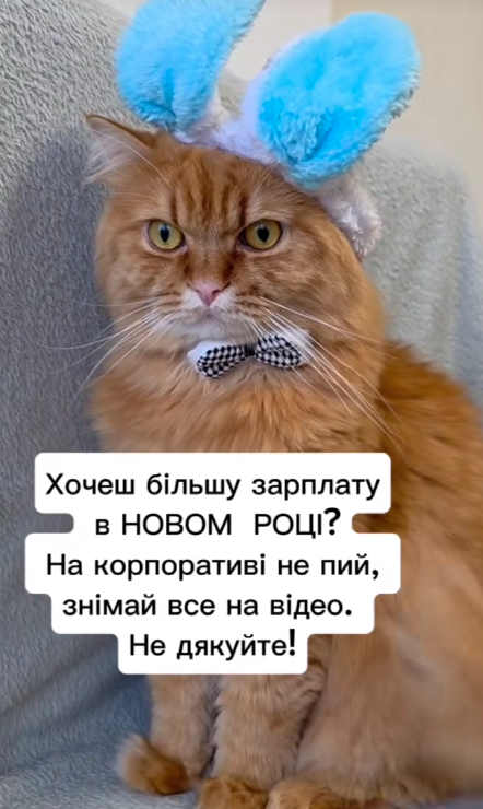 Смешные мемы о корпоративах: когда вечер удался настолько, что стыдно выходить на работу - 803942 Смешные мемы о корпоративах: когда вечер удался настолько, что стыдно выходить на работу - фото 803942