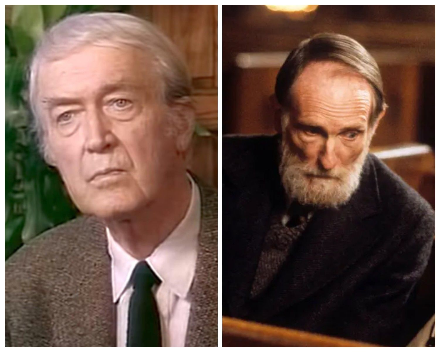 Роль підозрілого сусіда Кевіна хотіли віддати Джеймсу Стюарту - фото 804045