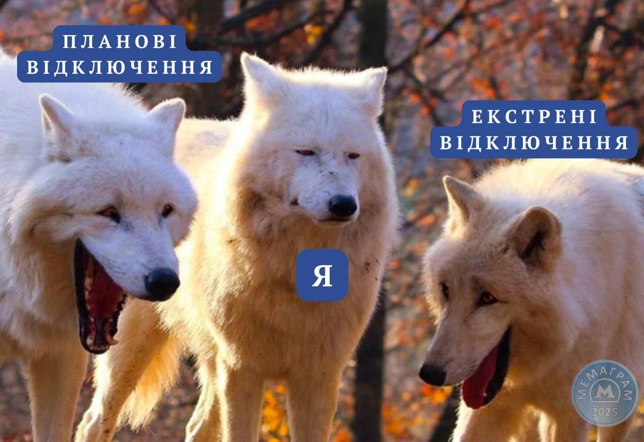 Лучшие мемы 2025 года, над которыми дружно смеялись все украинцы - 804964 Лучшие мемы 2025 года, над которыми дружно смеялись все украинцы - фото 804964