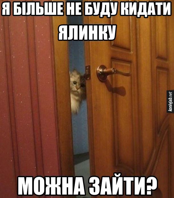 Смешные мемы о Рождестве, которые подарят улыбку и праздничное настроение - 805582 Смешные мемы о Рождестве, которые подарят улыбку и праздничное настроение - фото 805582