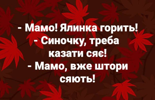 Смешные мемы о Рождестве, которые подарят улыбку и праздничное настроение - 805587 Смешные мемы о Рождестве, которые подарят улыбку и праздничное настроение - фото 805587