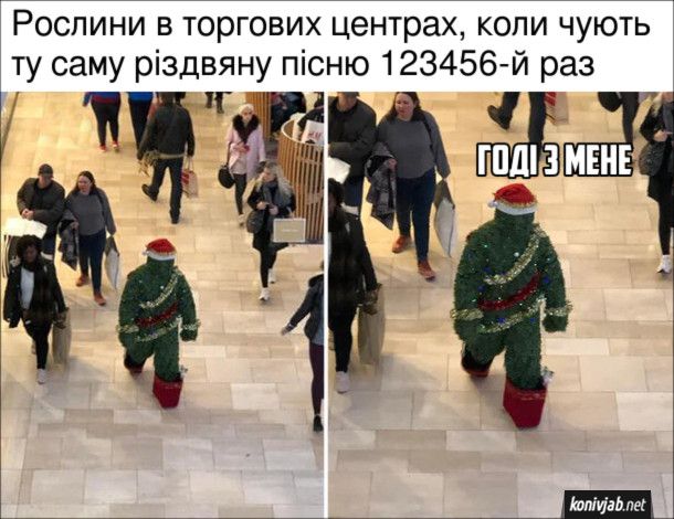 Смешные мемы о Рождестве, которые подарят улыбку и праздничное настроение - 805591 Смешные мемы о Рождестве, которые подарят улыбку и праздничное настроение - фото 805591