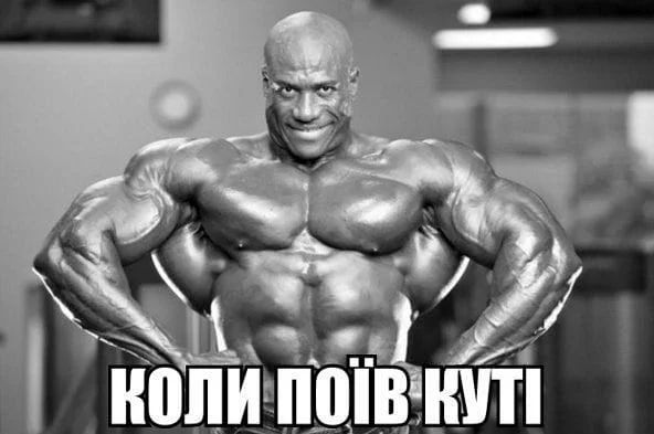 Смешные мемы о Рождестве, которые подарят улыбку и праздничное настроение - 805601 Смешные мемы о Рождестве, которые подарят улыбку и праздничное настроение - фото 805601