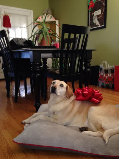 Ці люди явно не парилися з пакуванням подарунків - епічні фото - фото 805647