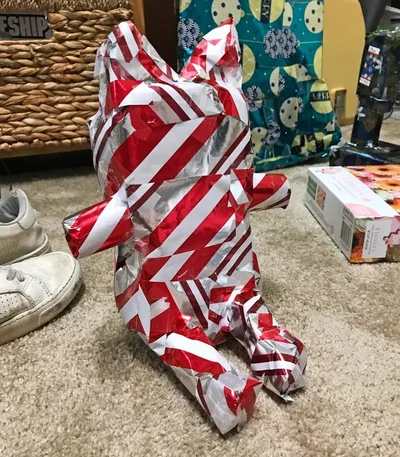 Ці люди явно не парилися з пакуванням подарунків - епічні фото - фото 805655