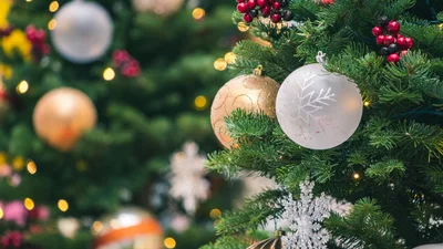 5 скрытых угроз живой елки, о которых не говорят продавцы