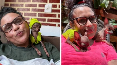 Святковий костюм для песика довів його власницю та інтернет до шаленого реготу