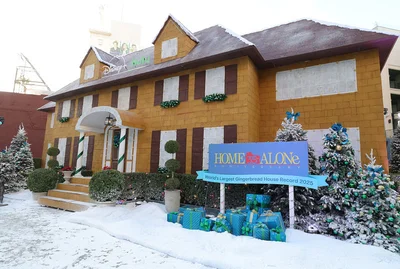 Гігантський пряниковий будинок 'Сам удома' - фото 807120