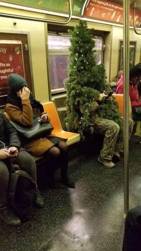 Епічні різдвяні фото, якими ми прощаємося з цими святами й чекаємо наступні - 807758 Епічні різдвяні фото, якими ми прощаємося з цими святами й чекаємо наступні - фото 807758