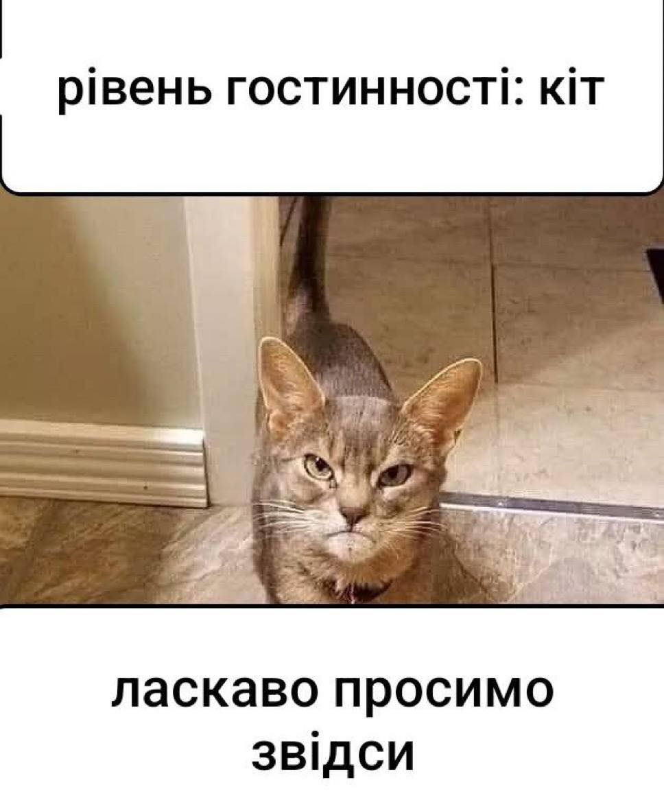 Веселые мемы о гостях: когда от радости до 'когда они наконец уйдут?' всего один шаг - 808178 Веселые мемы о гостях: когда от радости до 'когда они наконец уйдут?' всего один шаг - фото 808178