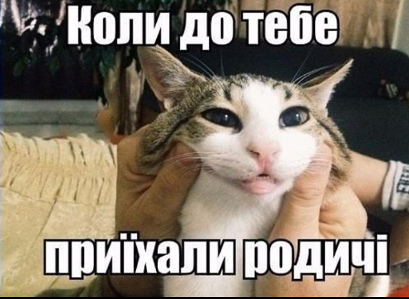 Веселые мемы о гостях: когда от радости до 'когда они наконец уйдут?' всего один шаг - 808183 Веселые мемы о гостях: когда от радости до 'когда они наконец уйдут?' всего один шаг - фото 808183