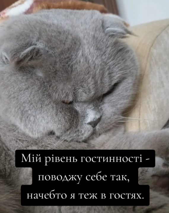Веселые мемы о гостях: когда от радости до 'когда они наконец уйдут?' всего один шаг - 808188 Веселые мемы о гостях: когда от радости до 'когда они наконец уйдут?' всего один шаг - фото 808188