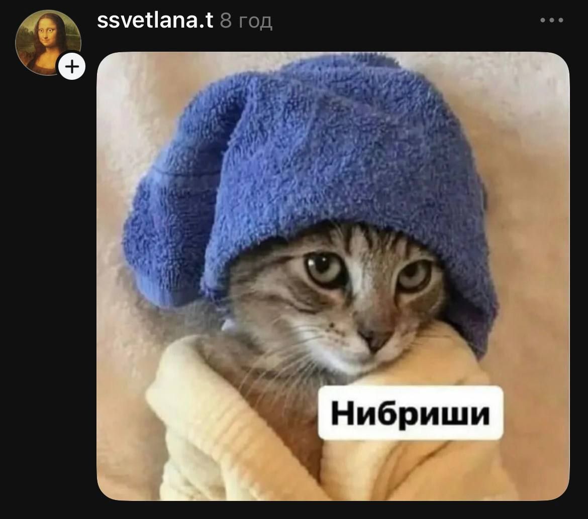 Цимбалюк пошутил о вазонах, которые должна пересаживать Денисенко, но что-то пошло не так – смешные фото, как его разнесли - фото 808434