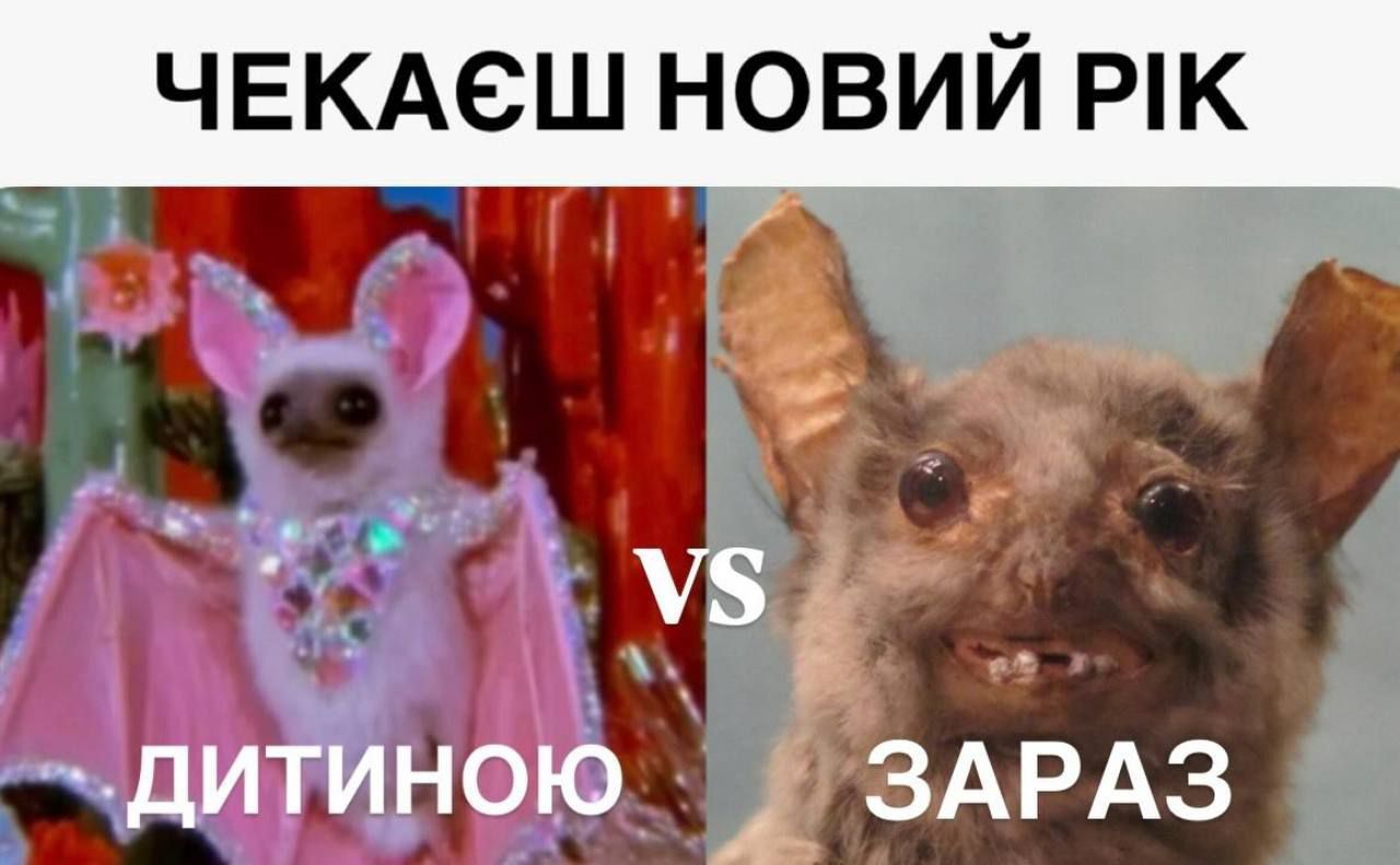 Лучшие мемы про Новый год, которые захочется переслать всем друзьям - фото 809900