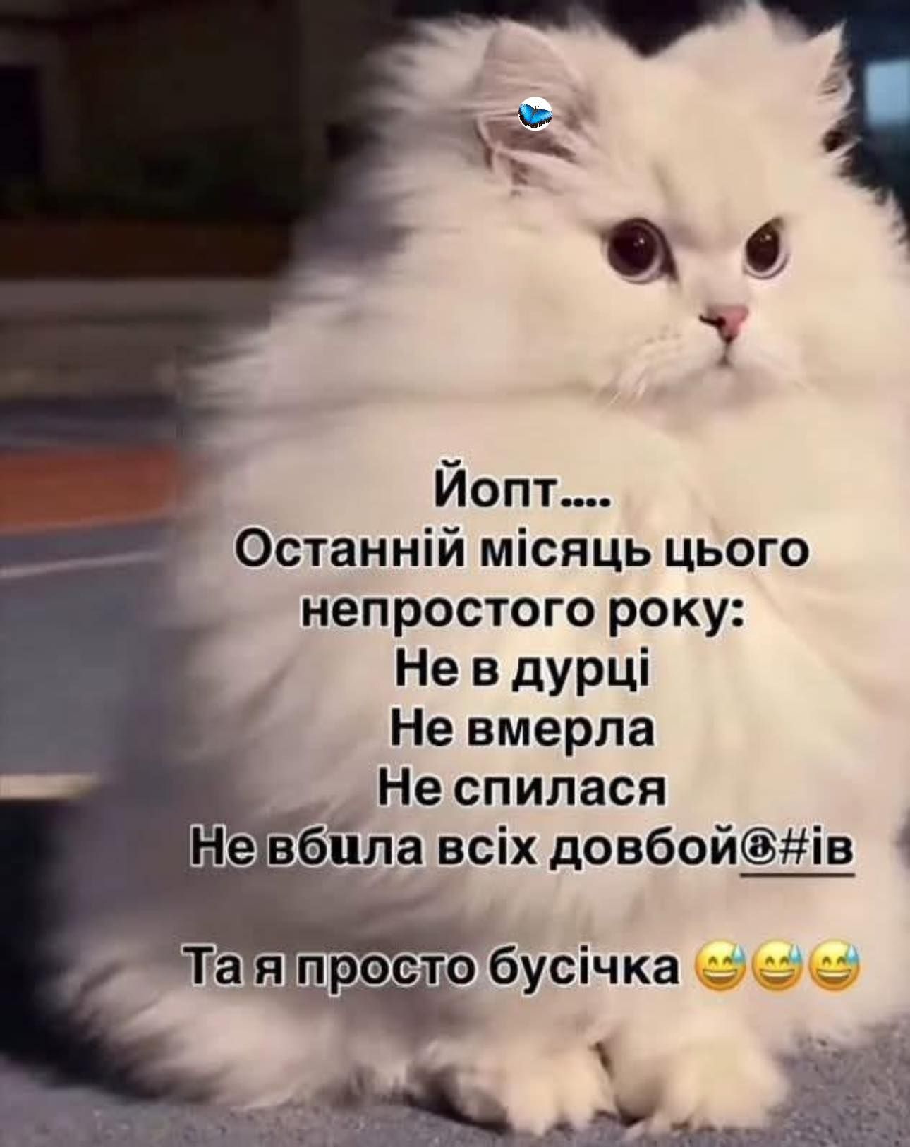 Лучшие мемы про Новый год, которые захочется переслать всем друзьям - фото 809903