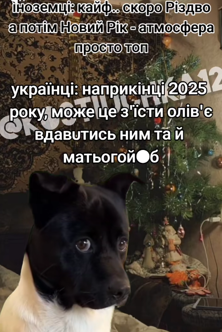Лучшие мемы про Новый год, которые захочется переслать всем друзьям - фото 809912