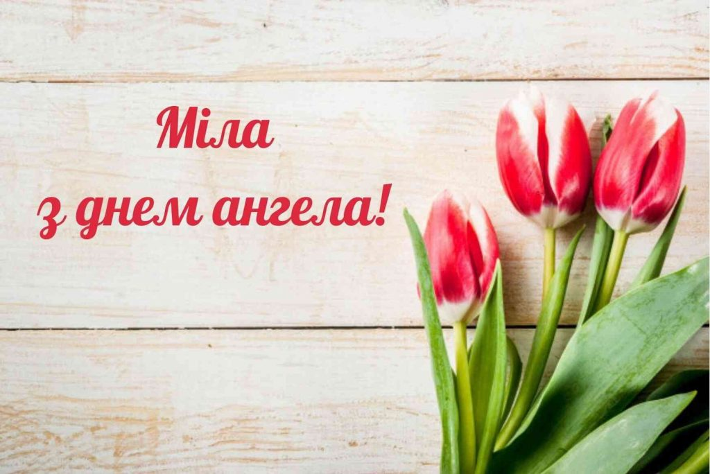 День ангела Мелании 2025: картинки-поздравления к именинам женщинам с редким именем - 810485 День ангела Мелании 2025: картинки-поздравления к именинам женщинам с редким именем - фото 810485