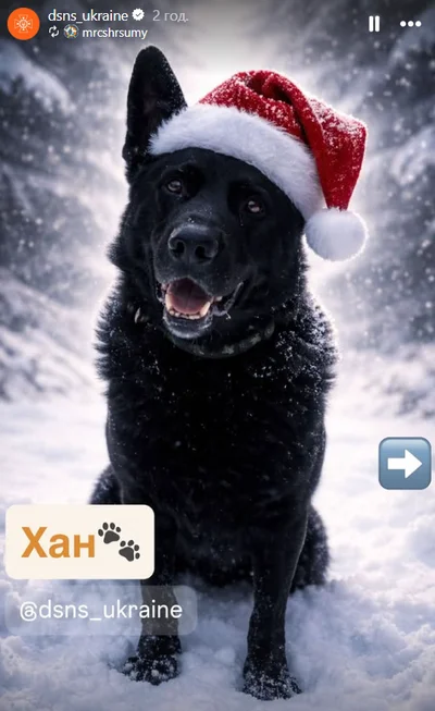 Службовий пес ДСНС - фото 810830