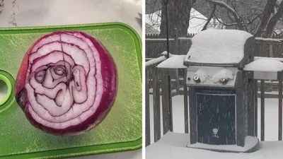 Эти фото, на которые стоит посмотреть дважды, напоминают - мир имеет хорошее чувство юмора