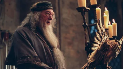 Культовий актор з "Гаррі Поттера" 10 років приховував важку хворобу за допомогою "шпигунського" методу