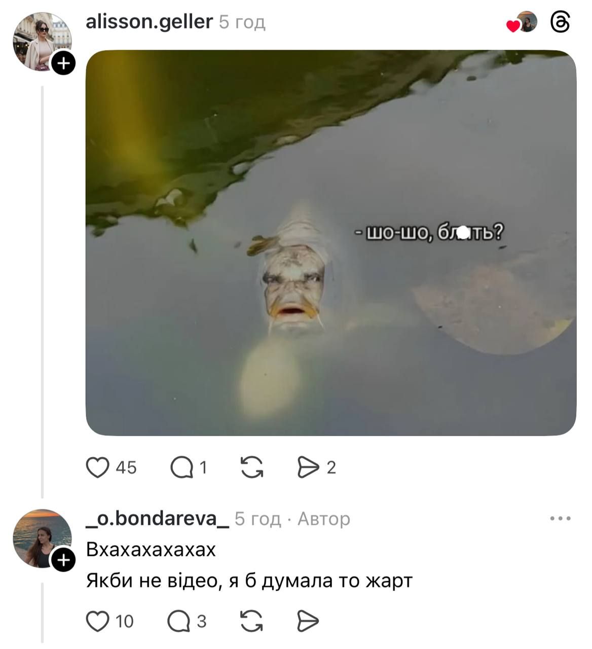 Теперь официально доктор: Григорий Решетник защитил диссертацию о шоу Холостяк - сеть взорвалась мемами - фото 812704