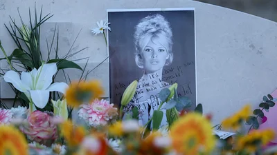 Скандальные похороны Брижит Бардо в плетеном гробу: семья актрисы унизила Макрона, а "нежелательный" сын простил мать