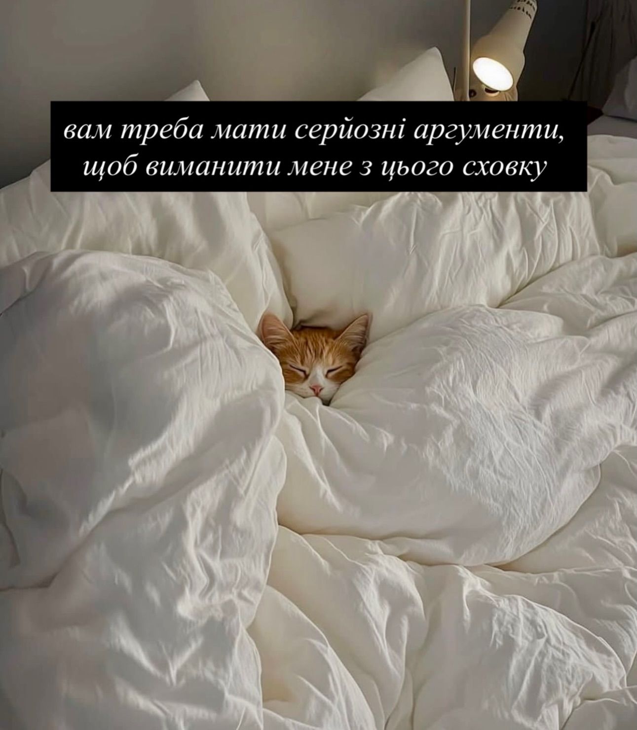 Смешные мемы с котиками, которые слишком точно описывают нашу жизнь - 813342 Смешные мемы с котиками, которые слишком точно описывают нашу жизнь - фото 813342